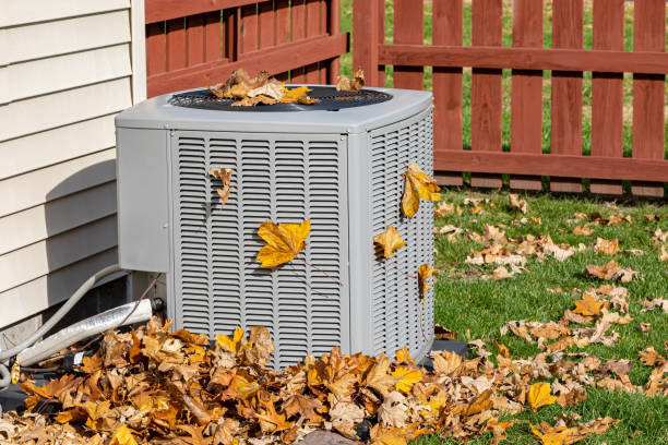 Best HVAC Repair Near Me  in Williamsport, MD